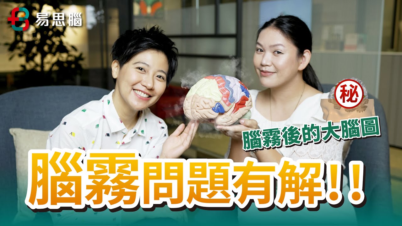 【易思腦】腦霧問題有解！記憶力Up、專注力Up、情緒控管Up