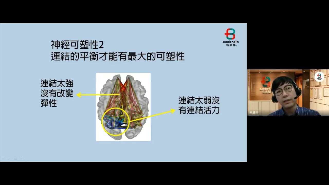 腦神經與復健的關係？大腦訓練的重要性！