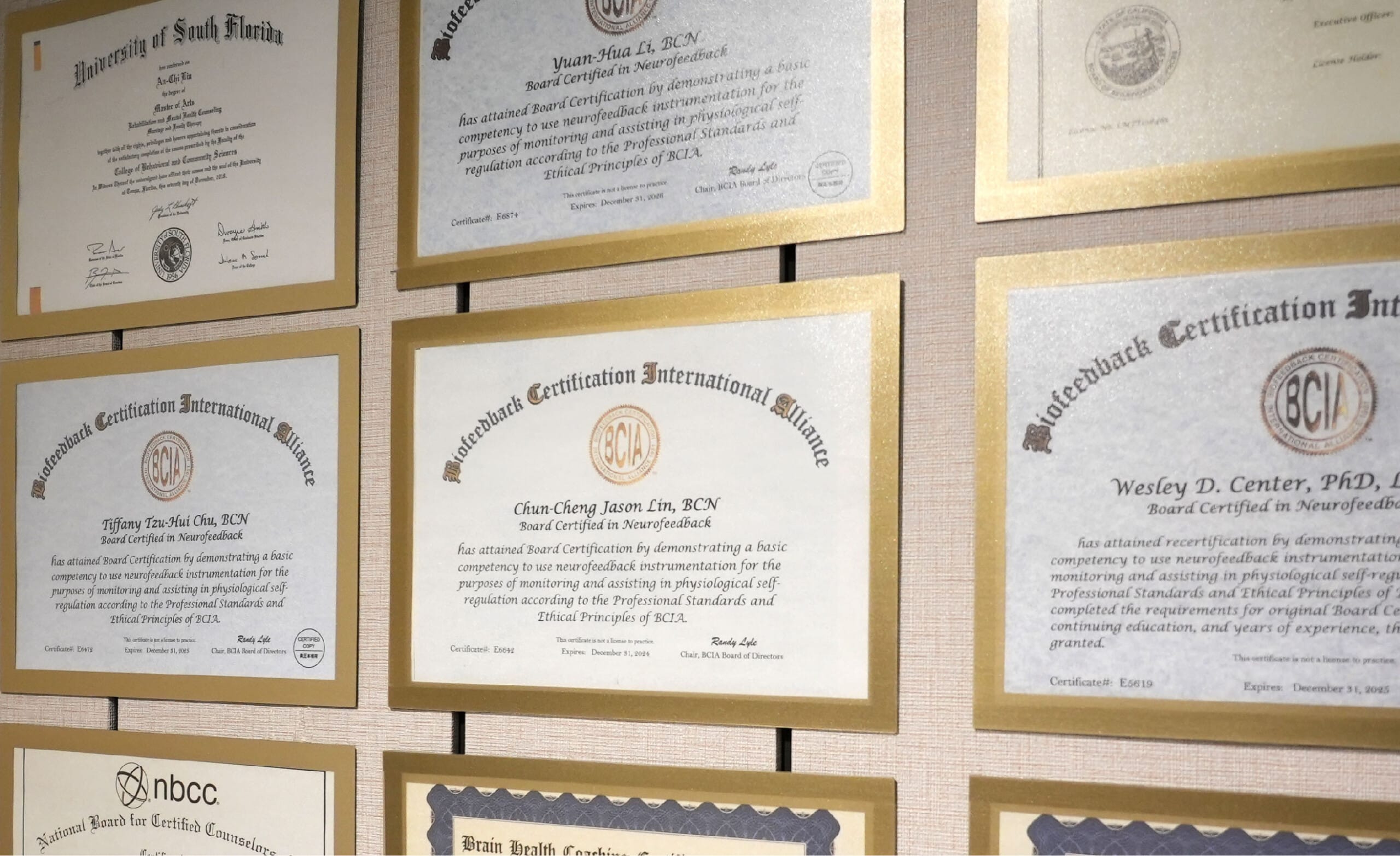 易思腦唯一取得美國BCIA授權 具備認證教學資格