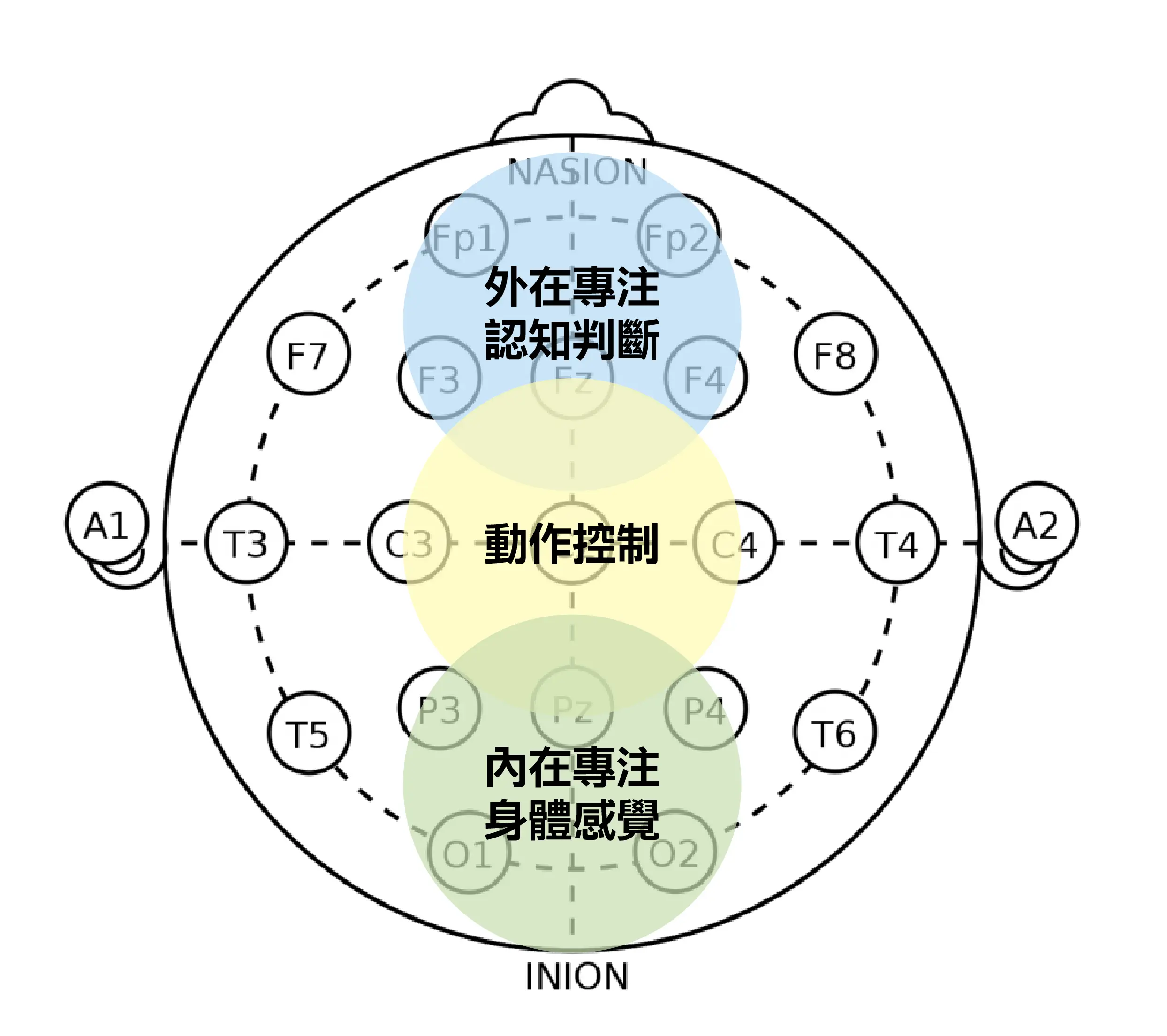 鍛鍊專注力腦區