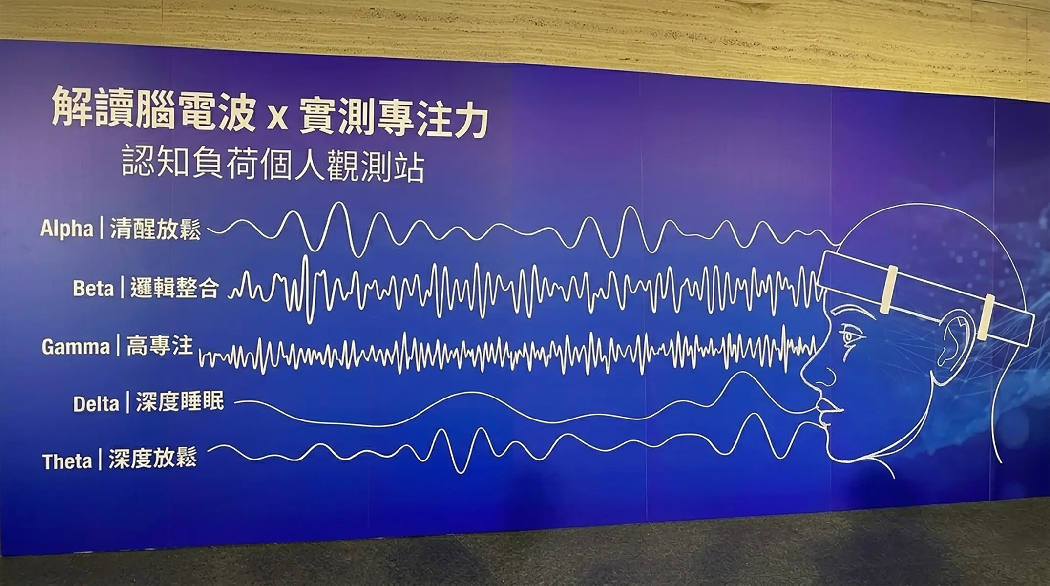 解讀腦電波X實測專注力